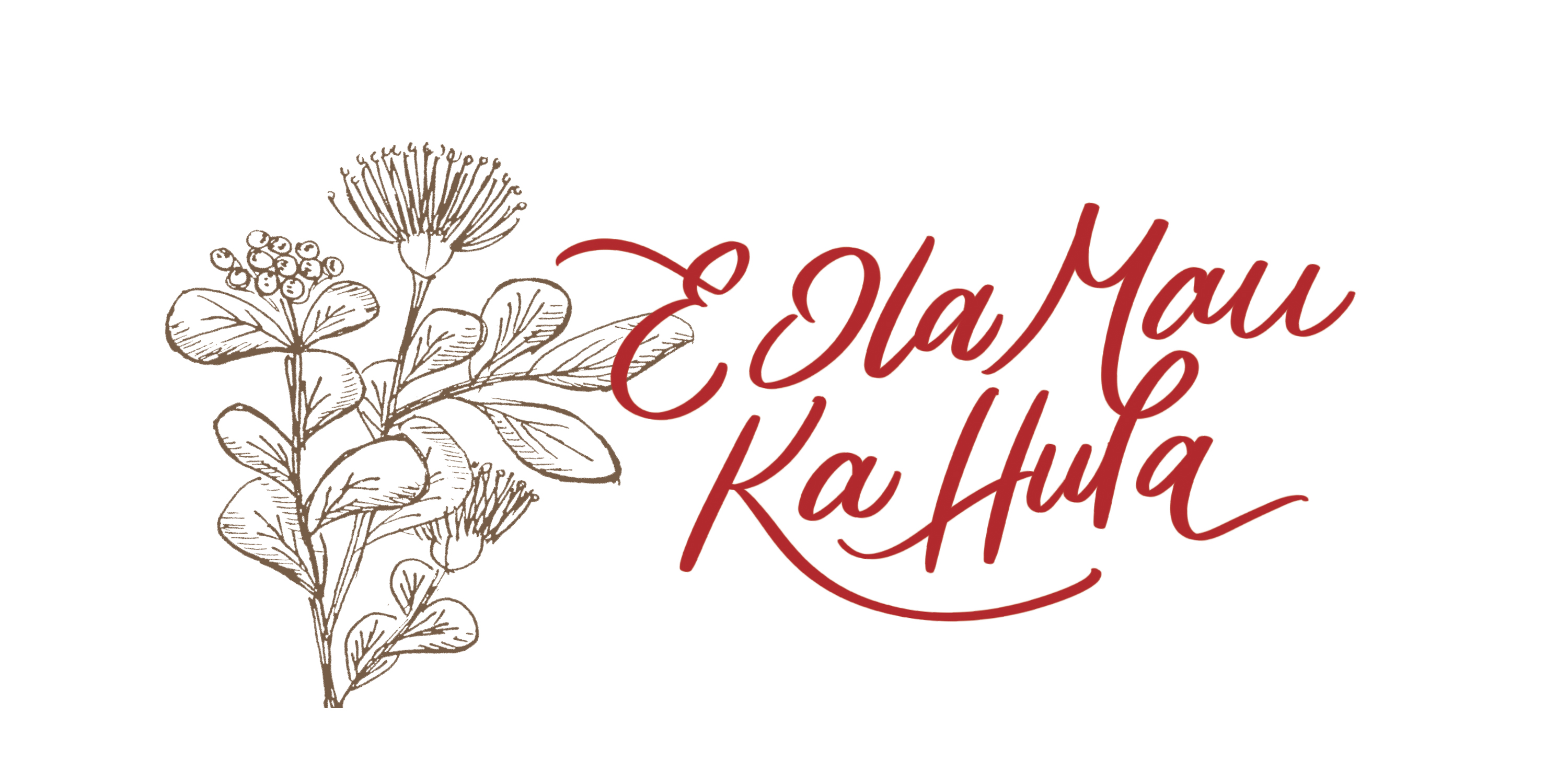 E Ola Maui Ka Hula Banner Image